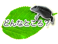 どんなところ?